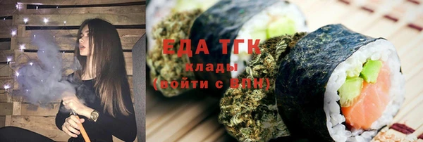 индика Елабуга