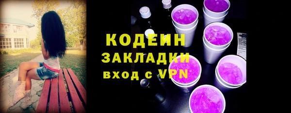 индика Елабуга