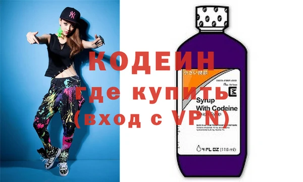 индика Елабуга