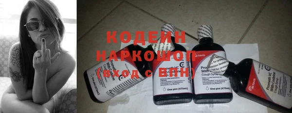 индика Елабуга