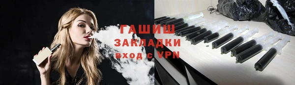 индика Елабуга