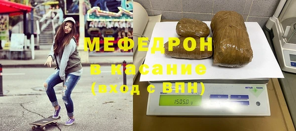 индика Елабуга