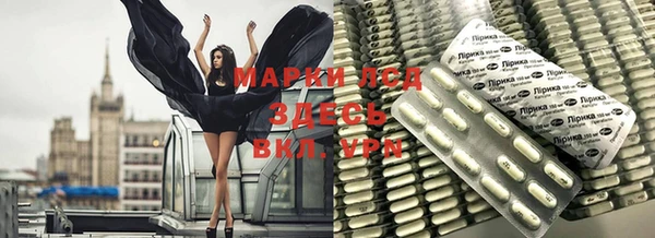 индика Елабуга