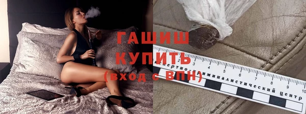 индика Елабуга