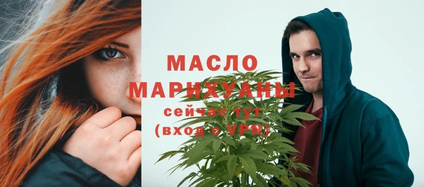 индика Елабуга