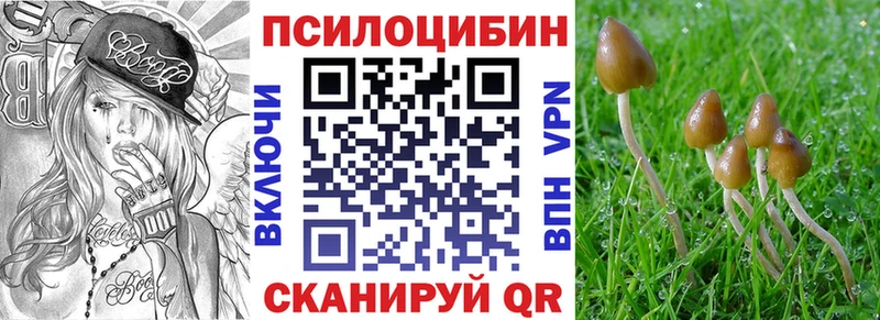 Купить где  Ступино  Псилоцибиновые грибы Psilocybine cubensis 