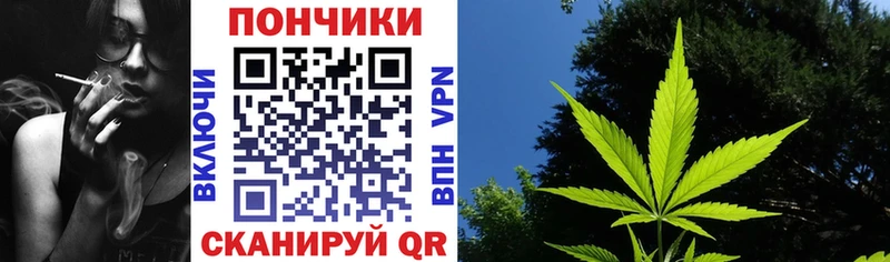 Шишки марихуана ГИДРОПОН  Купить где  Ступино 